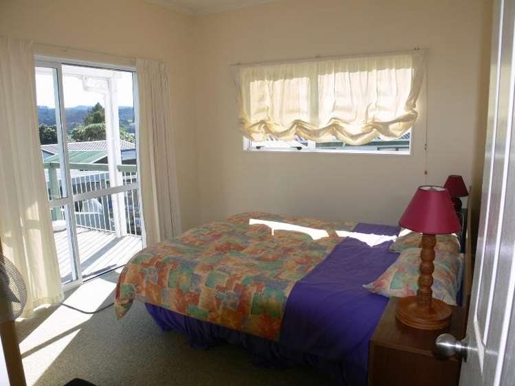 2 Ajax Head Pauanui_5