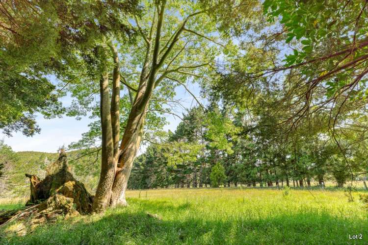 Lots 2&3/586 Tara Road Mangawhai_1