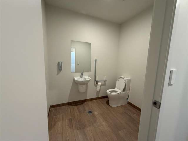 221 High Street Hutt Central_3