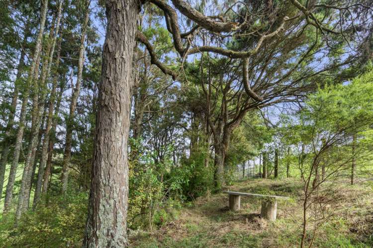 62 Pampas Lane Te Arai_26