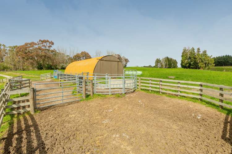 461 Otamarakau Valley Road Pukehina_21