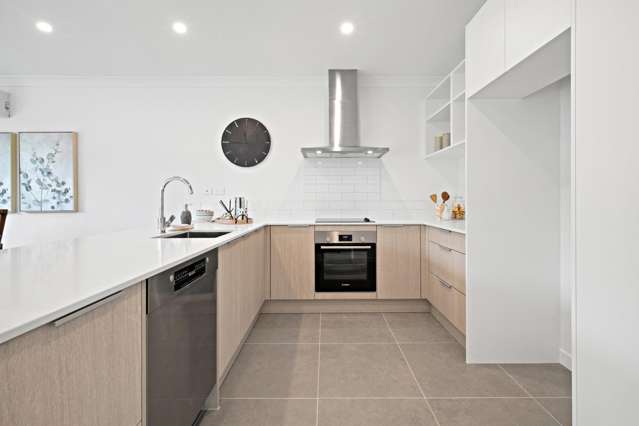 13 Karamu Road Flat Bush_3