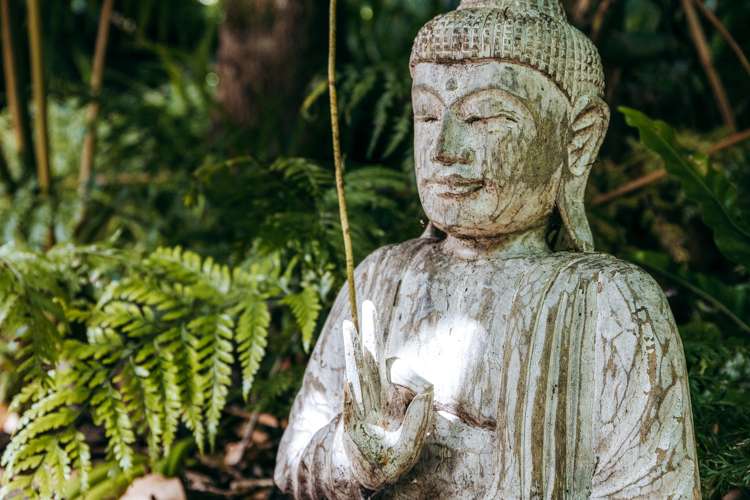 47 Makora Road Massey_38