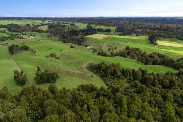 49C Olds Road Ngongotaha Valley_2