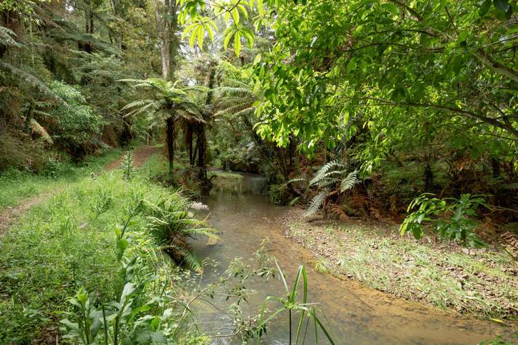 599 Te Puroa Road Ngaruawahia_11