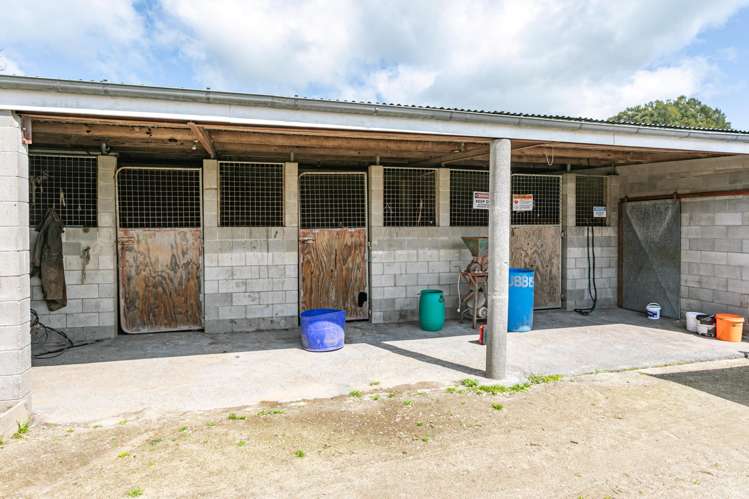 320 Hinuera Road Matamata_9