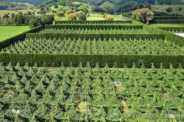 121a Macdonald Road Te Teko_28