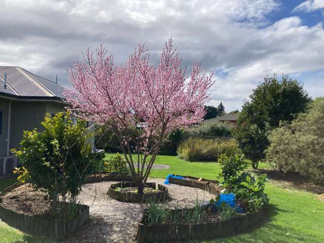 20 Paraekaretu Street Hunterville_3