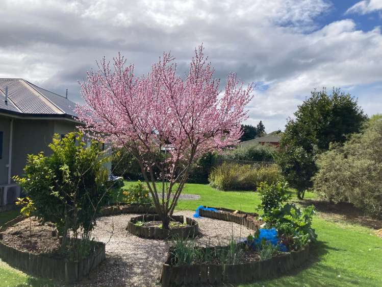 20 Paraekaretu Street Hunterville_3