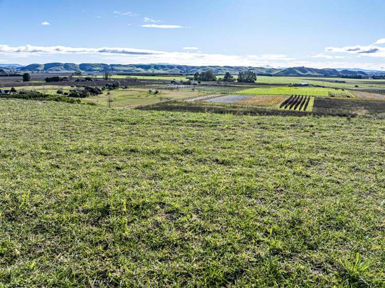 1.7ha Section - Maraekakaho Road Raukawa_8
