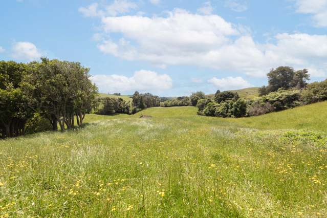 Lot 2/1097 Waingaro Road Glen Massey_3