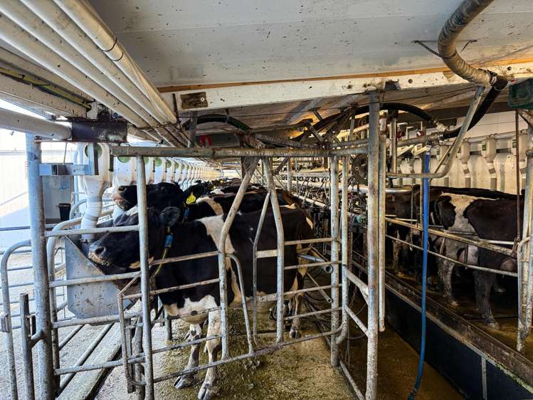 403 Island Edendale Road Menzies Ferry_21