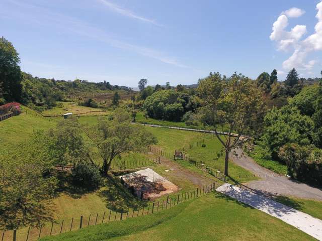 26 Hammond Street Hairini_2