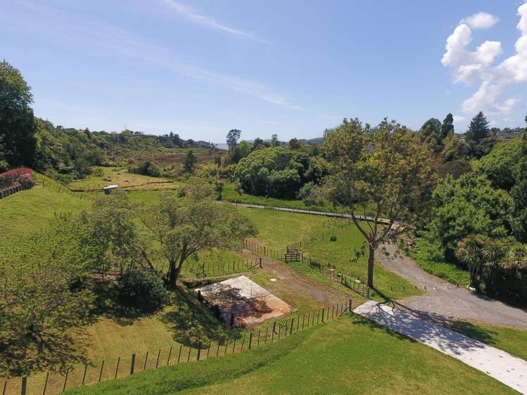 26 Hammond Street Hairini_1