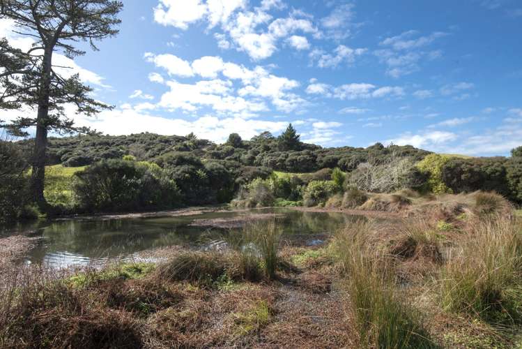 53 Rautahi Terrace Redvale_10