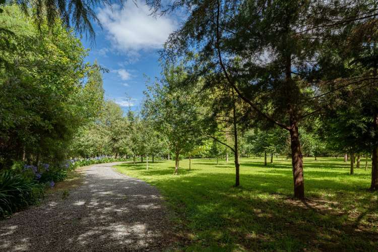 79 Waikakaho Road Tuamarina_23