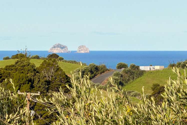 70 Walu Lane Matapouri_15