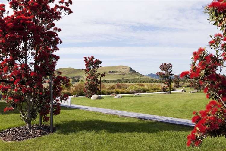 39 Coast Boulevard Papamoa_8