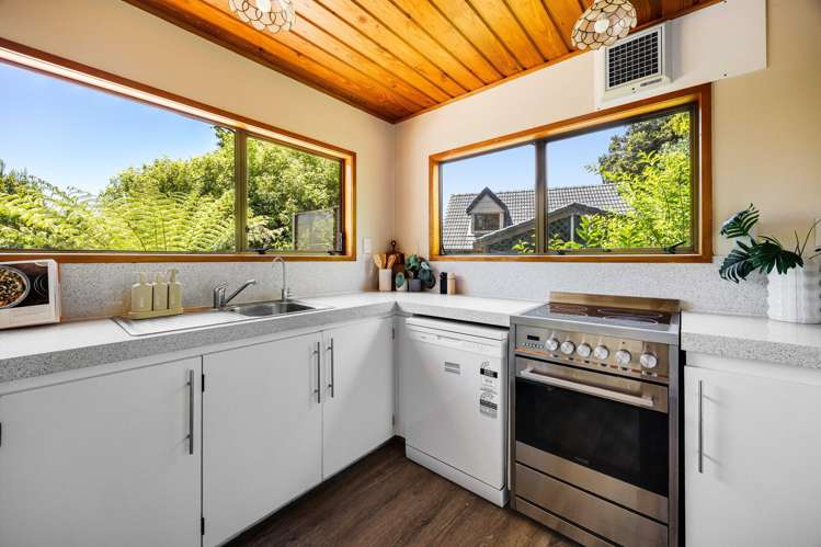 163 Browns Bay Road Browns Bay_10