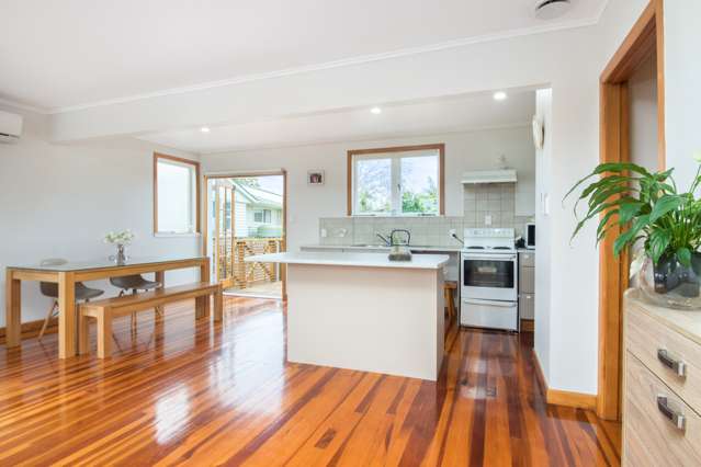 241 Birkdale Road Birkdale_2