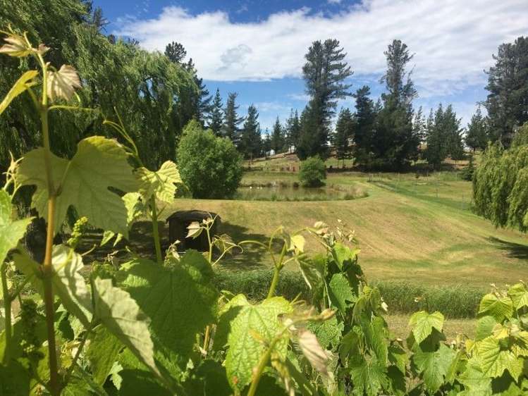 117 Letts Gully Road Alexandra_12