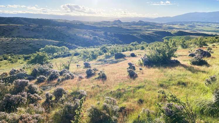 Lot 1 Ida Valley - Omakau Road_0