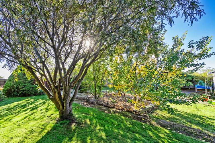 168 Centre Street Heidelberg_10