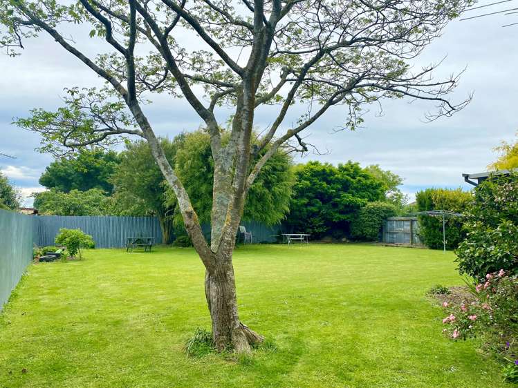 7 Elizabeth Avenue Rakaia_24