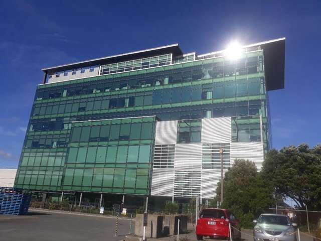 25 Victoria Street Petone_4
