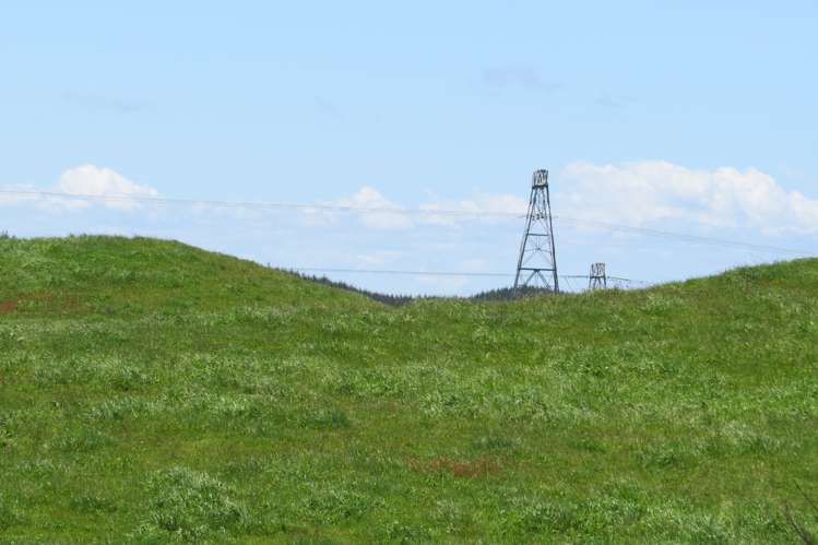 17 Hingarae Road Tihoi_23