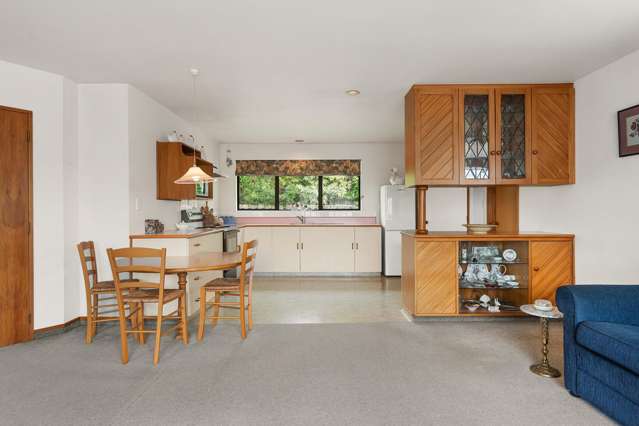50B McMaster Street Greytown_4