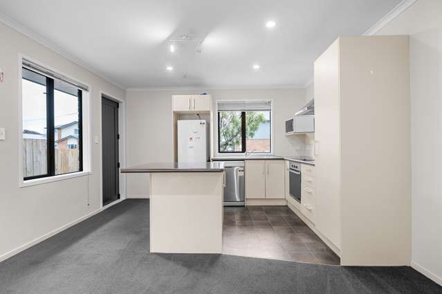 9/20 Greensboro Street Hamilton East_4