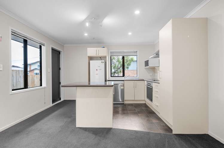 9/20 Greensboro Street Hamilton East_4