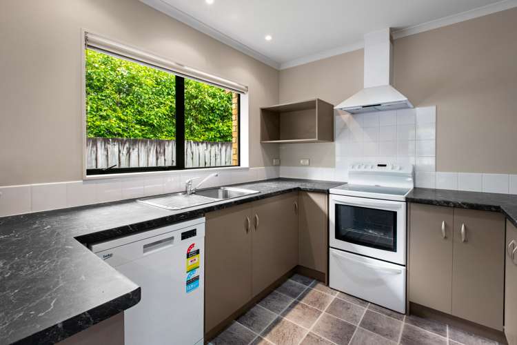 2 Cuba Street Waihi_9