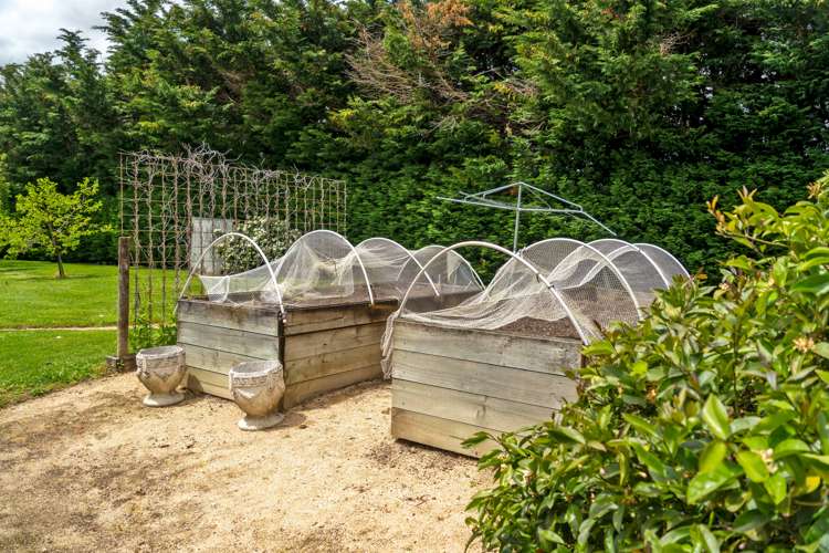 147 Millers Road Kopuaranga_18