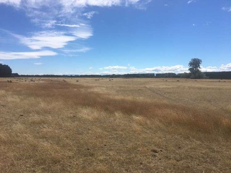 130 Mcleans Island Road Harewood_5