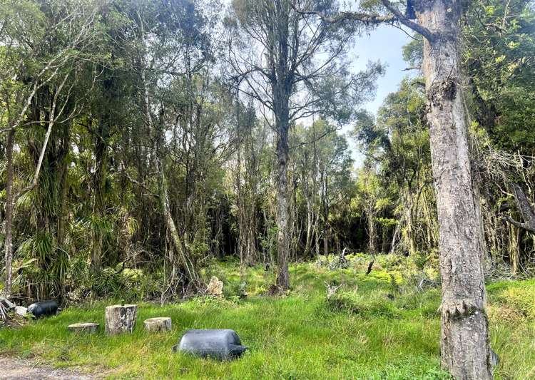 378A Kumara Junction Highway Arahura Valley_6