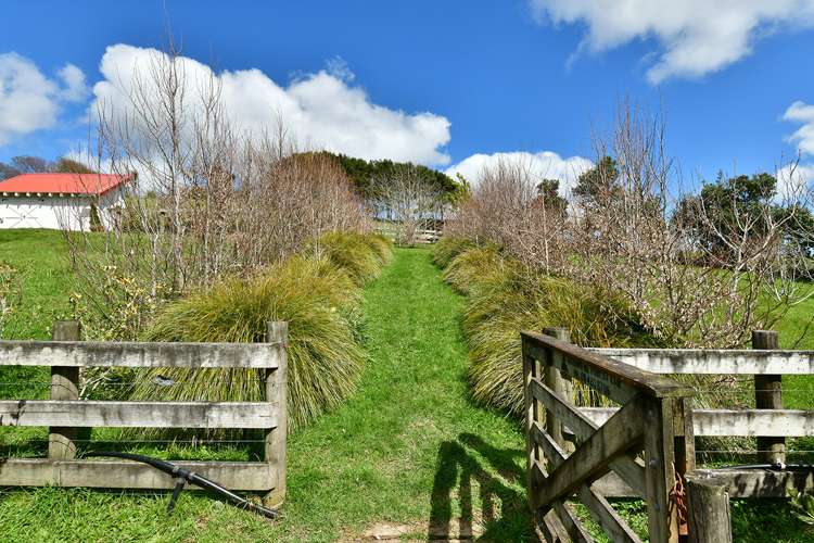 58 Rauhori Road Makarau_29