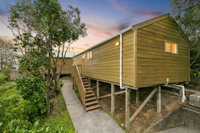 18 Darlington Terrace Miramar_2