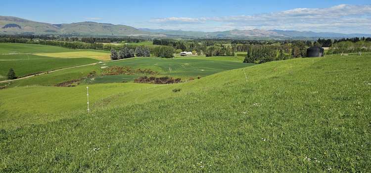 58 Blackhill Road Chatton_8