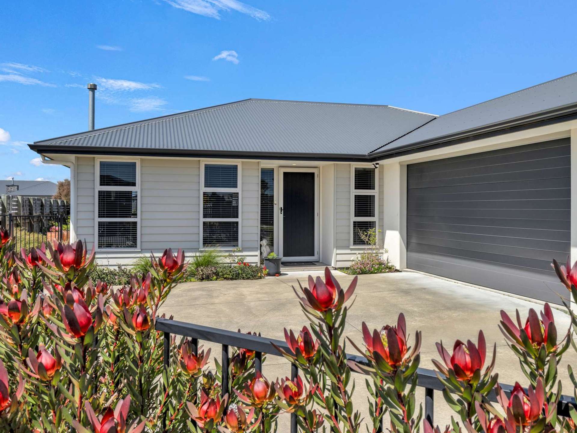 17 Morrell Street Tawhero_0