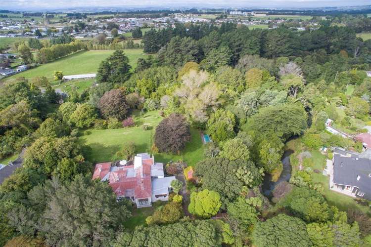 537 Wellington Road Marton_20