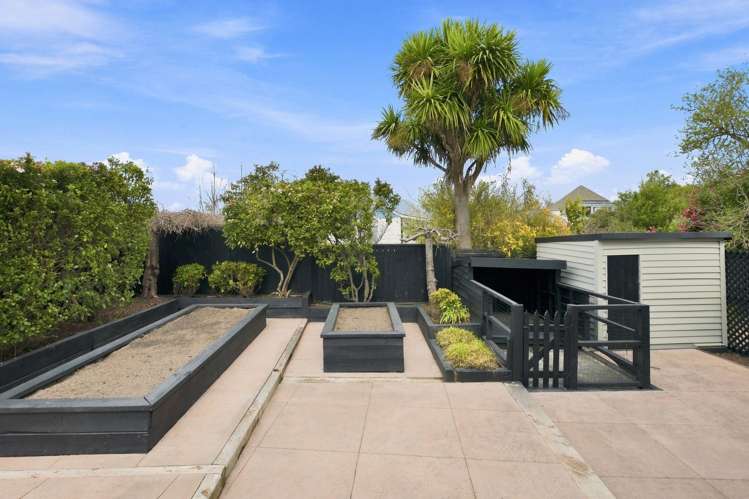 17B Kruse Place Redwood_15