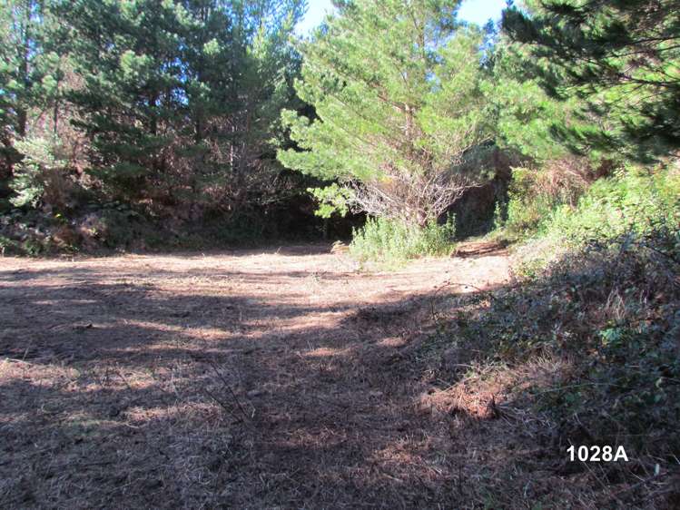 1028 A,B,C McIvor Road Rotoma_10