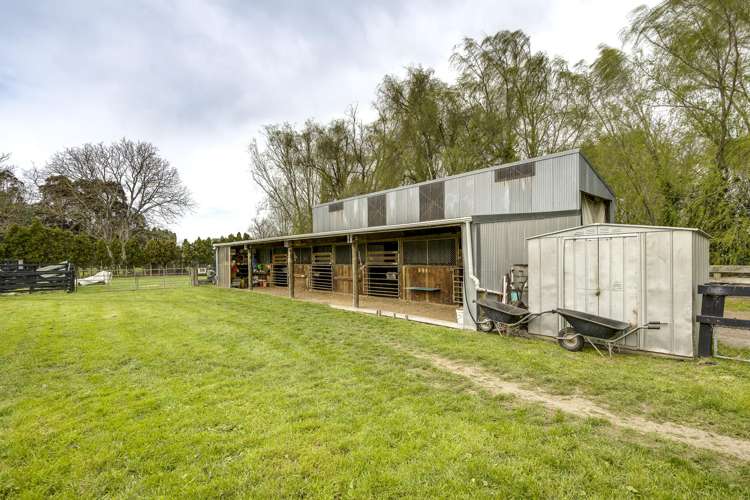 510 Wall Road Raureka_23