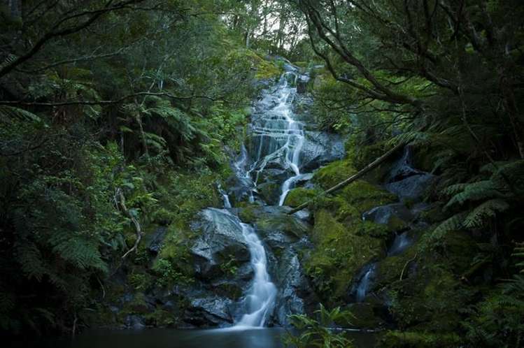 853 Purangi Road Cooks Beach_24