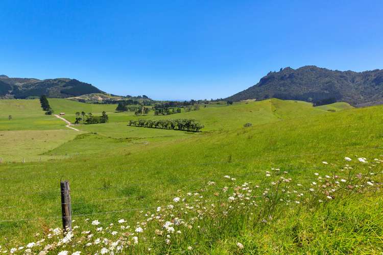 81 Blue Horizon Road Whangarei Heads_6