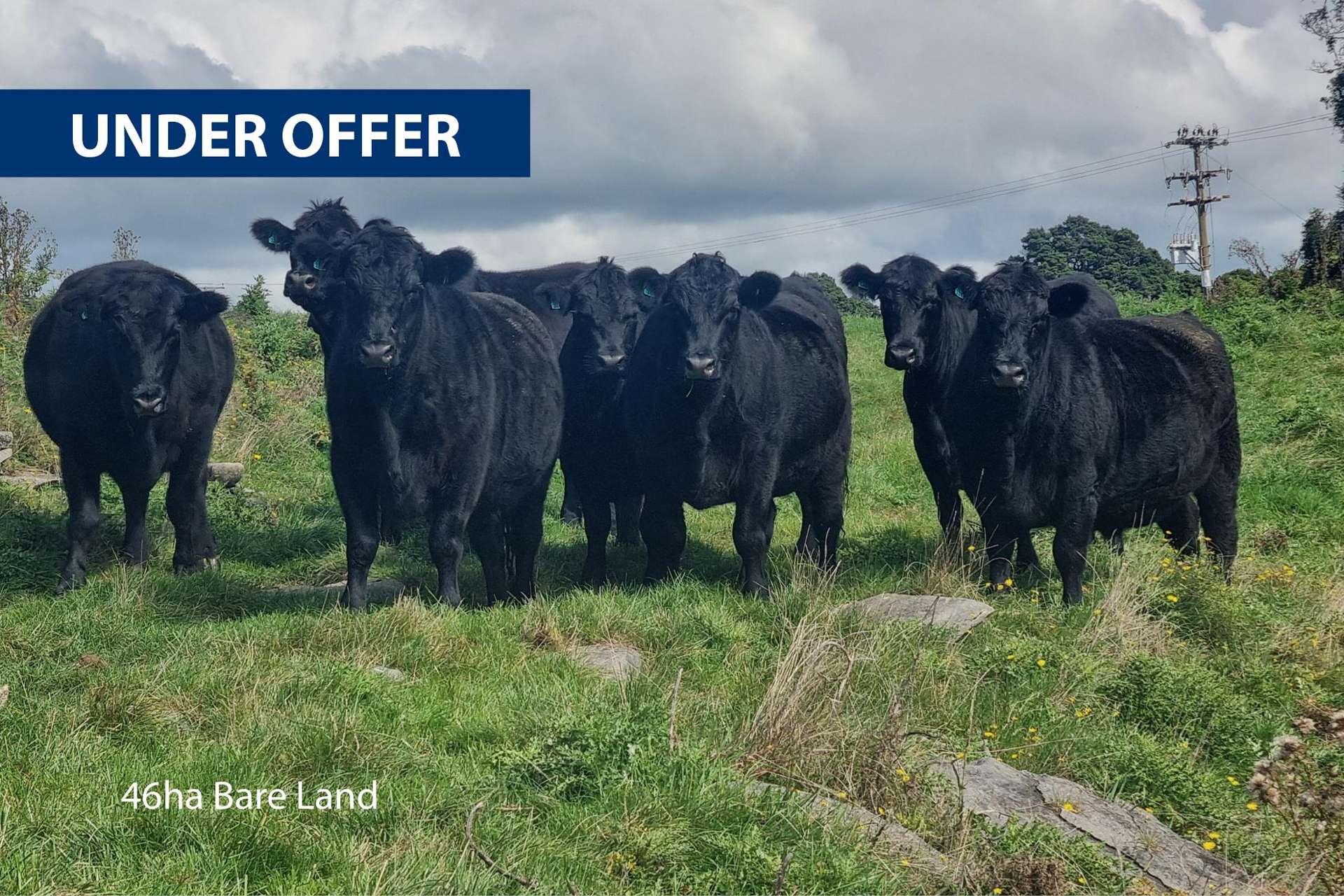 Oparure Road Te Kuiti_0