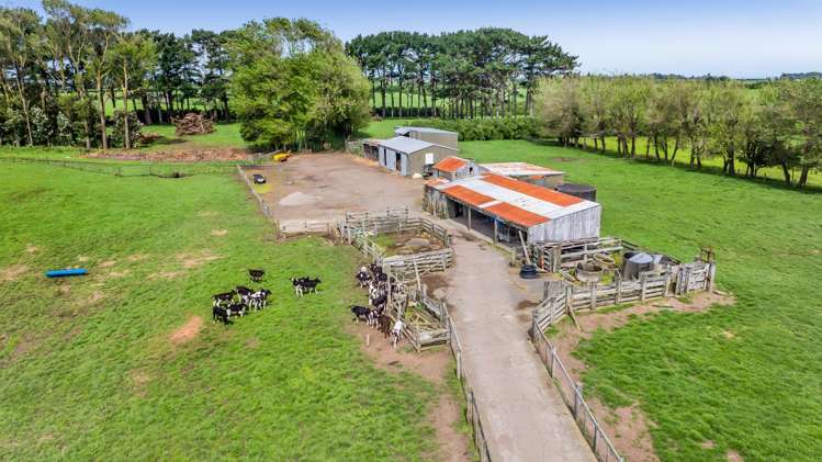 103 Wirihana Road Hawera_15