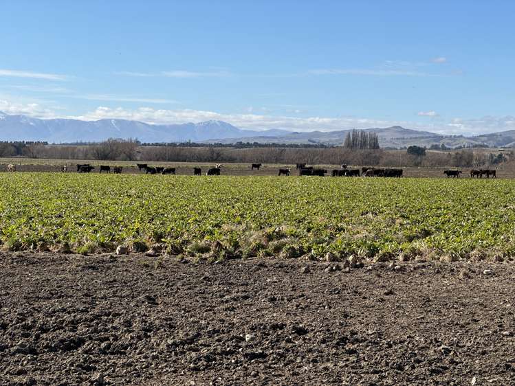 1586 Maniototo Road Patearoa_19